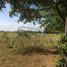  Land for sale in Tuxpan, Veracruz, Tuxpan