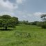 Terrain à vendre à Tuxpan, Veracruz, Tuxpan, Veracruz