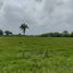 Terrain à vendre à Tuxpan, Veracruz, Tuxpan, Veracruz