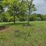 Terrain à vendre à Tuxpan, Veracruz, Tuxpan, Veracruz