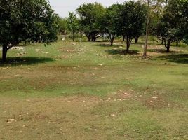 Studio House for sale in Tixpehual, Yucatan, Tixpehual