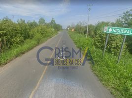 Terreno (Parcela) en venta en Tantima, Veracruz, Tantima