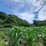  Terreno (Parcela) en venta en Chiriquí, Los Naranjos, Boquete, Chiriquí