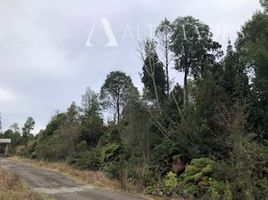  Terreno (Parcela) en venta en Puerto Montt, Llanquihue, Puerto Montt