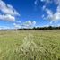  Terrain for sale in Frutillar, Llanquihue, Frutillar