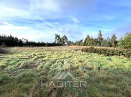  Land for sale in Puerto Montt, Llanquihue, Puerto Montt