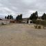  Land for rent in Chile, La Serena, Elqui, Coquimbo, Chile