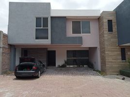 3 Bedroom House for rent in Morelia, Michoacan, Morelia, Michoacan