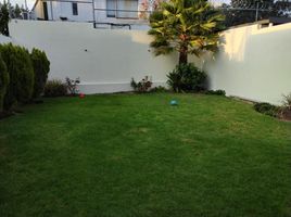 미코 아칸PropertyTypeNameBedroom, 모렐리 아, 미코 아칸
