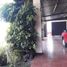  Land for sale in Morelia, Michoacan, Morelia, Michoacan