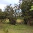  Land for rent in Zinapecuaro, Michoacan, Zinapecuaro, Michoacan