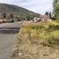  Land for rent in Zinapecuaro, Michoacan, Zinapecuaro, Michoacan