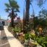 3 Bedroom House for sale in Morelia, Michoacan, Morelia, Michoacan