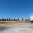  Land for rent in Torreon, Coahuila, Torreon