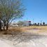  Land for rent in Torreon, Coahuila, Torreon