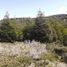  Land for sale in General Carrera, Aisen Del General Carlos Ibanez Del Campo, Chile Chico, General Carrera