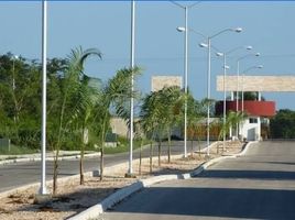  Grundstück zu verkaufen in Conkal, Yucatan, Conkal