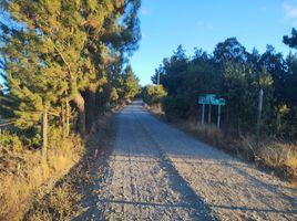  Land for sale in Itata, Nuble, Trehuaco, Itata