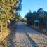  Land for sale in Trehuaco, Nuble, Trehuaco