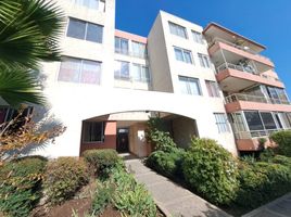 3 Habitación Apartamento en venta en Santiago, San Jode de Maipo, Cordillera, Santiago