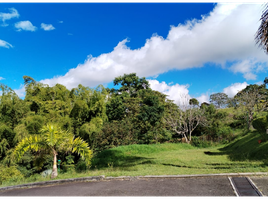  Terreno (Parcela) en venta en Armenia, Quindio, Armenia