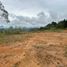 Terrain à vendre à Rionegro, Antioquia, Rionegro