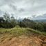 Terrain à vendre à Rionegro, Antioquia, Rionegro
