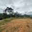 Terrain à vendre à Rionegro, Antioquia, Rionegro
