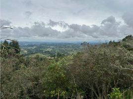 Terrain à vendre à Rionegro, Antioquia, Rionegro