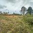 Terrain à vendre à Rionegro, Antioquia, Rionegro