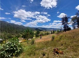 Land for sale in La Ceja, Antioquia, La Ceja, Antioquia, Colombia