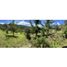  Land for sale in La Ceja, Antioquia, La Ceja, Antioquia, Colombia