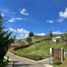  Land for sale in La Ceja, Antioquia, La Ceja, Antioquia, Colombia
