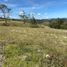  Terrain for sale in La Chorrera, Amazonas, La Chorrera