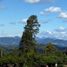  Terrain for sale in La Chorrera, Amazonas, La Chorrera