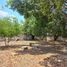  Land for sale in Merida, Yucatan, Merida, Yucatan