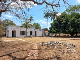  Land for sale in Merida, Yucatan, Merida, Yucatan