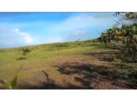  Land for sale in Pedregal, David, Pedregal