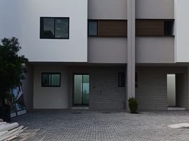 3 Schlafzimmer Haus zu verkaufen in Zapopan, Jalisco, Zapopan, Jalisco