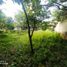  Land for sale in Baranoa, Atlantico, Baranoa