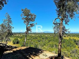  Terreno (Parcela) en venta en Puerto Varas, Llanquihue, Puerto Varas