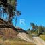  Terreno (Parcela) en venta en Puerto Varas, Llanquihue, Puerto Varas