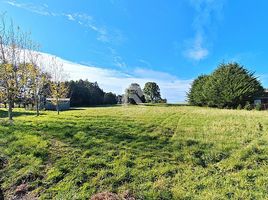  Terreno (Parcela) en venta en Puerto Montt, Llanquihue, Puerto Montt