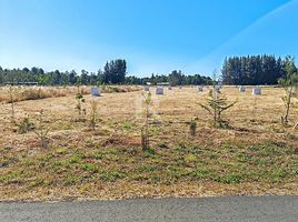  Land for sale in Frutillar, Llanquihue, Frutillar