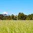  Land for sale in Puerto Varas, Llanquihue, Puerto Varas