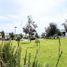  Land for sale in Zapopan, Jalisco, Zapopan, Jalisco