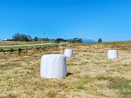  Terreno (Parcela) en venta en Puerto Montt, Llanquihue, Puerto Montt