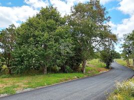  Land for sale in Puerto Montt, Llanquihue, Puerto Montt