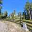  Terreno (Parcela) en venta en Puerto Varas, Llanquihue, Puerto Varas