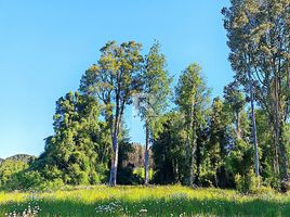  Terreno (Parcela) en venta en Puerto Varas, Llanquihue, Puerto Varas